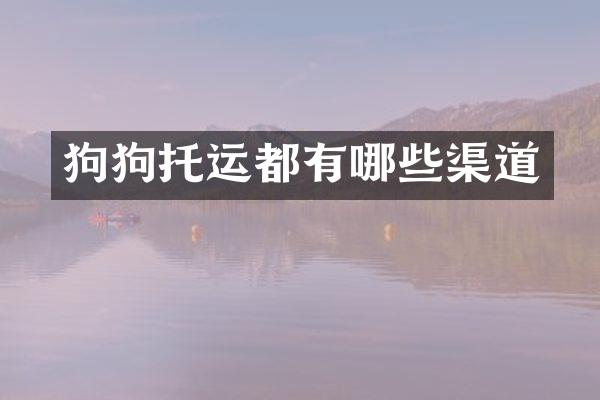 狗狗托运都有哪些渠道