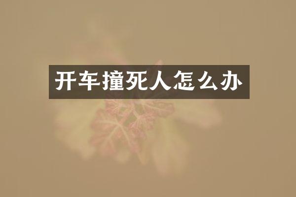 开车撞死人怎么办