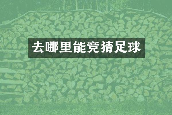 去哪里能竞猜足球