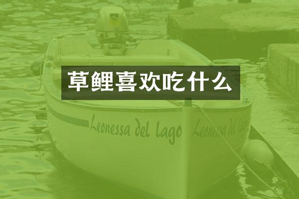 草鲤喜欢吃什么