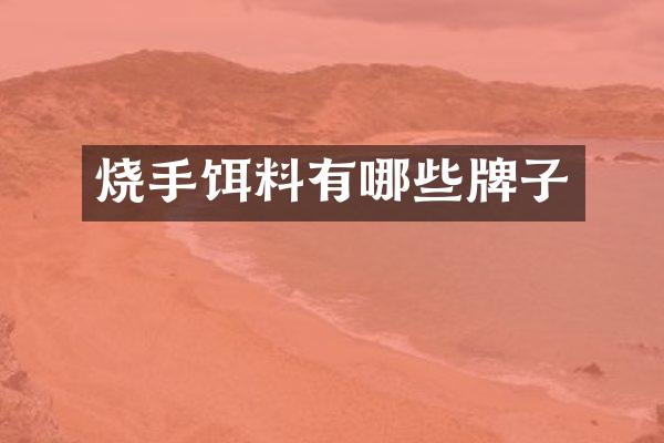 烧手饵料有哪些牌子