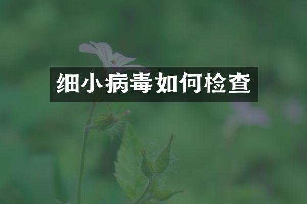 细小病毒如何检查