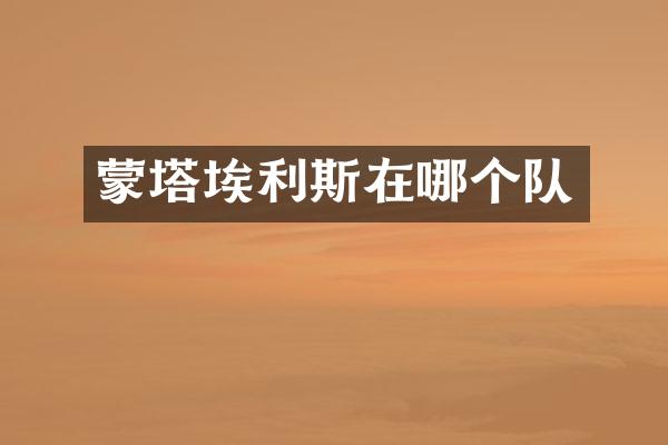 蒙塔埃利斯在哪个队