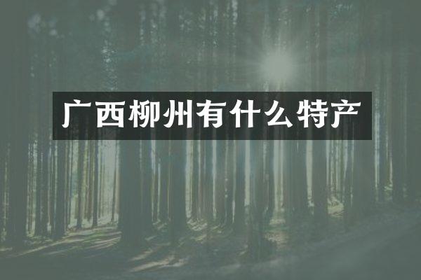 广西柳州有什么特产