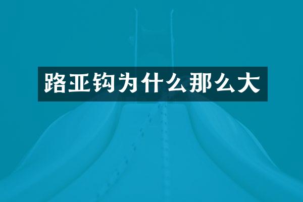 路亚钩为什么那么大