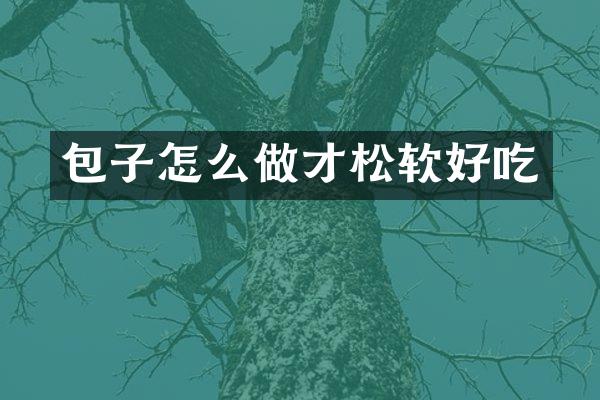 包子怎么做才松软好吃