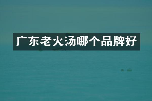 广东老火汤哪个品牌好