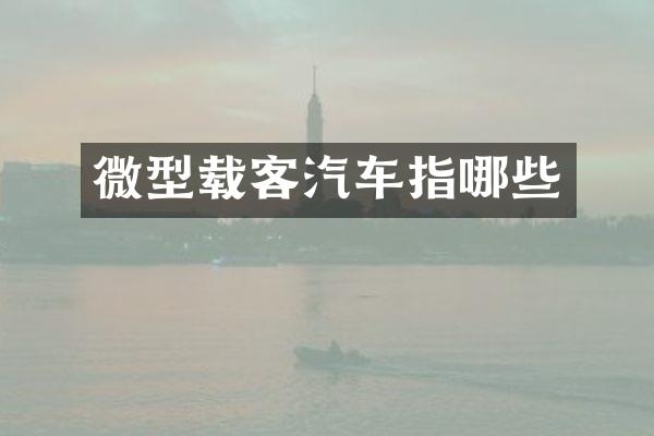 微型载客汽车指哪些