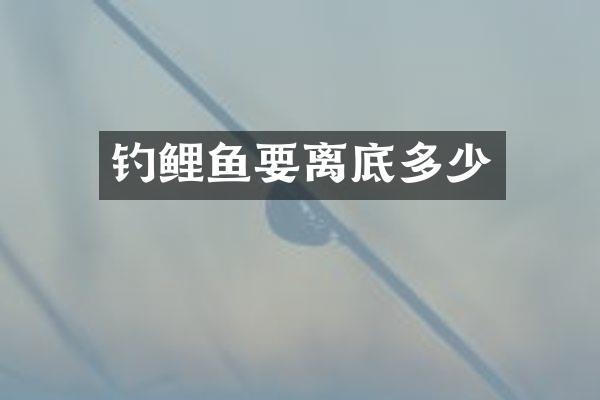 钓鲤鱼要离底多少