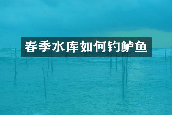 春季水库如何钓鲈鱼