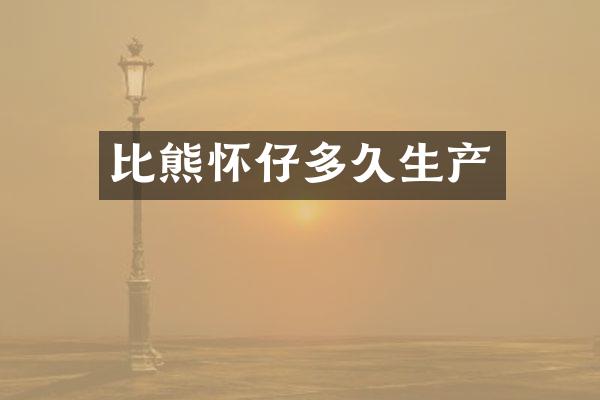 比熊怀仔多久生产