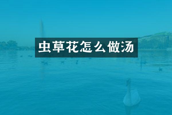 虫草花怎么做汤