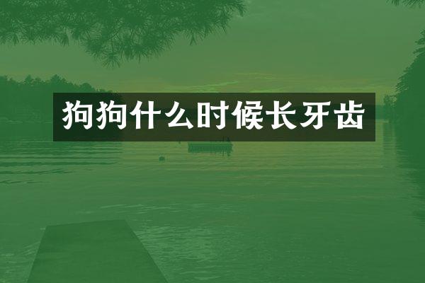 狗狗什么时候长牙齿