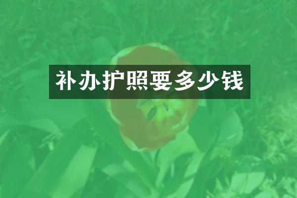 补办护照要多少钱