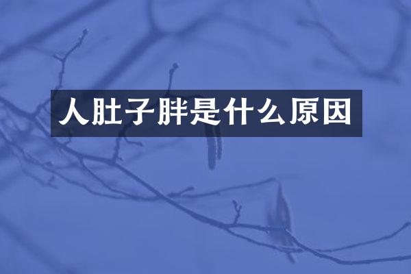 人肚子胖是什么原因