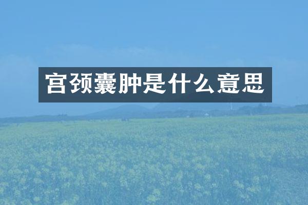 宫颈囊肿是什么意思
