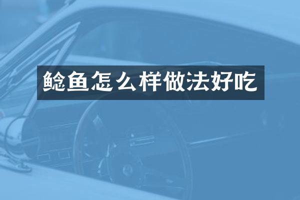 鲶鱼怎么样做法好吃