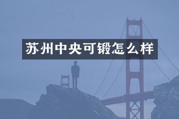 苏州中央可锻怎么样