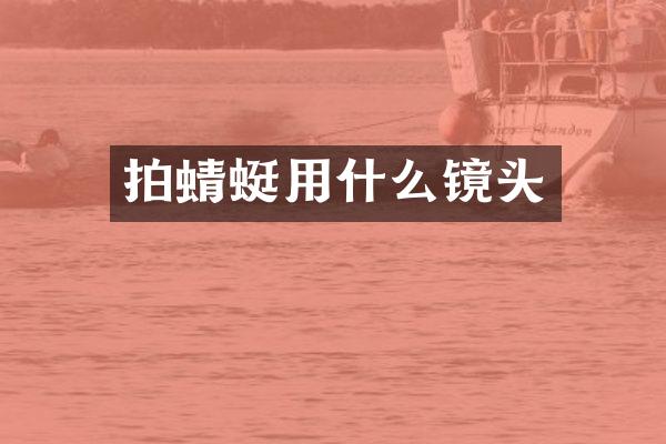 拍蜻蜓用什么镜头