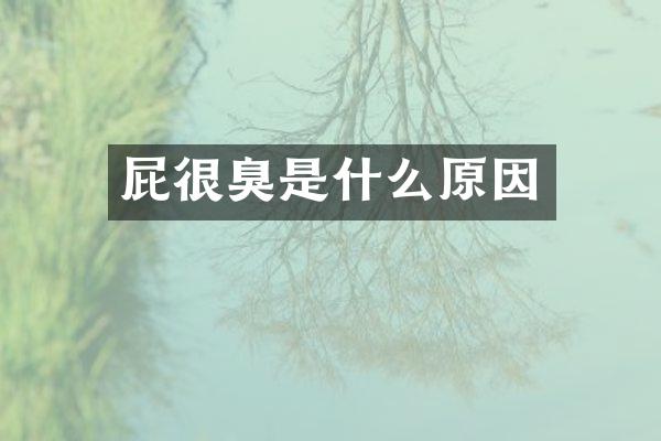 屁很臭是什么原因