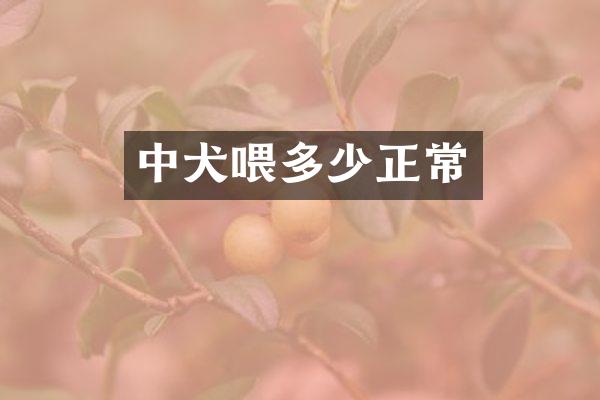 中犬喂多少正常