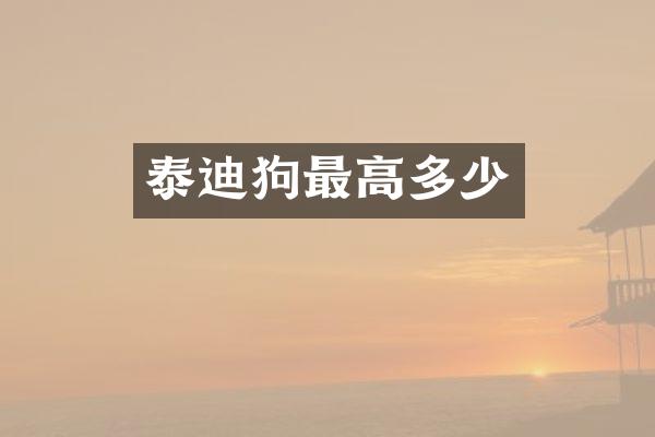 泰迪狗最高多少
