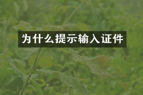 为什么提示输入证件