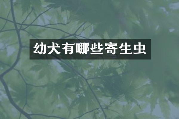 幼犬有哪些寄生虫