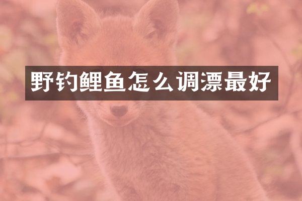 野钓鲤鱼怎么调漂最好