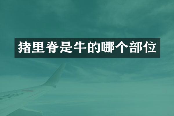 猪里脊是牛的哪个部位