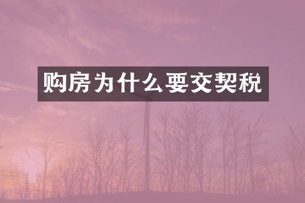 购房为什么要交契税