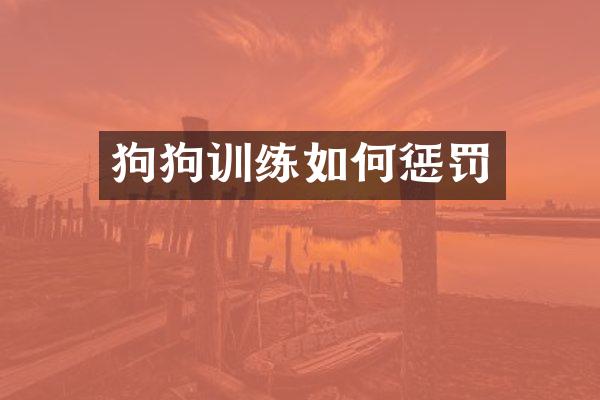 狗狗训练如何惩罚