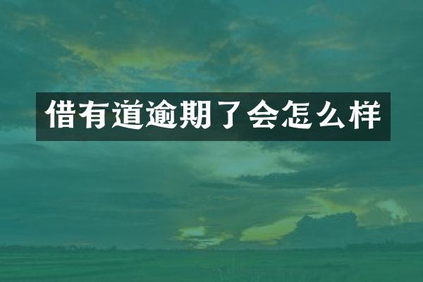 借有道逾期了会怎么样