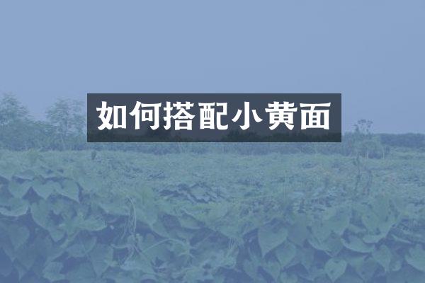 如何搭配小黄面