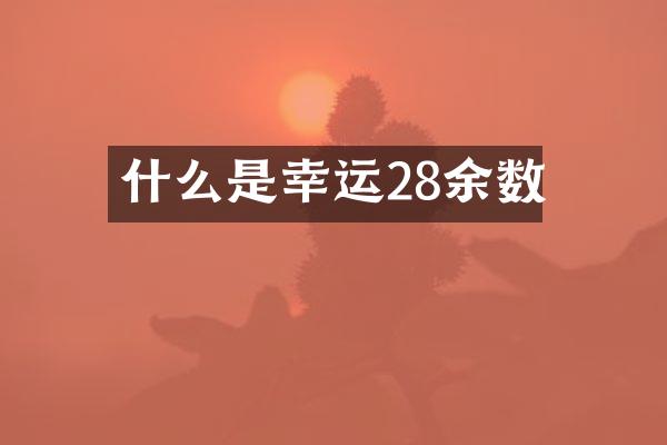 什么是幸运28余数