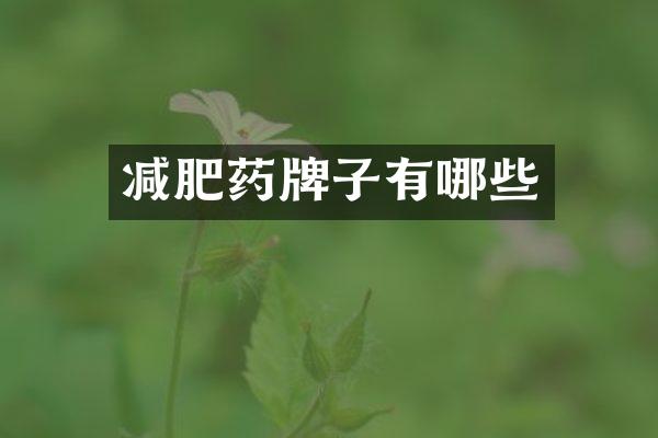 减肥药牌子有哪些