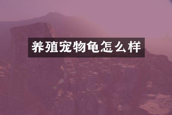 养殖宠物龟怎么样