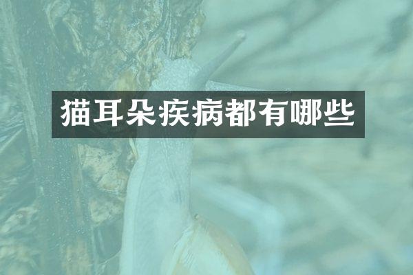 猫耳朵疾病都有哪些