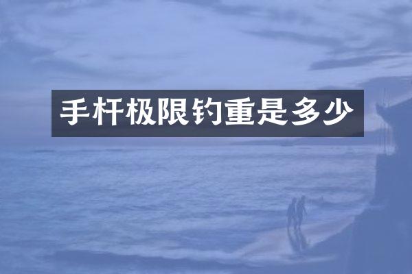 手杆极限钓重是多少