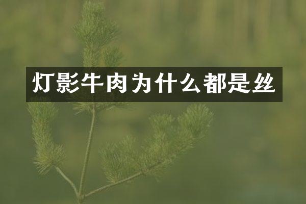 灯影牛肉为什么都是丝