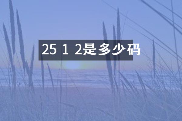 25 1 2是多少码
