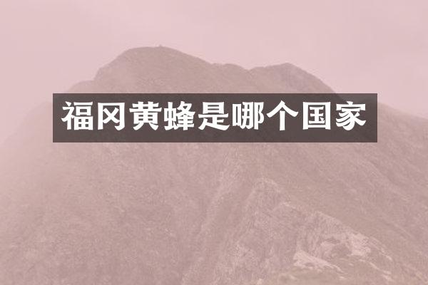 福冈黄蜂是哪个国家