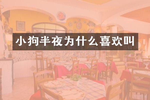 小狗半夜为什么喜欢叫