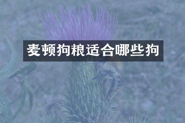 麦顿狗粮适合哪些狗