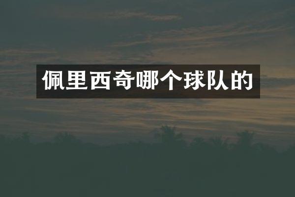 佩里西奇哪个球队的