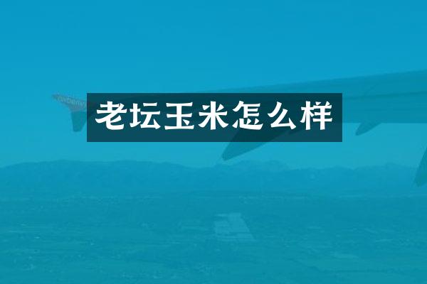 老坛玉米怎么样