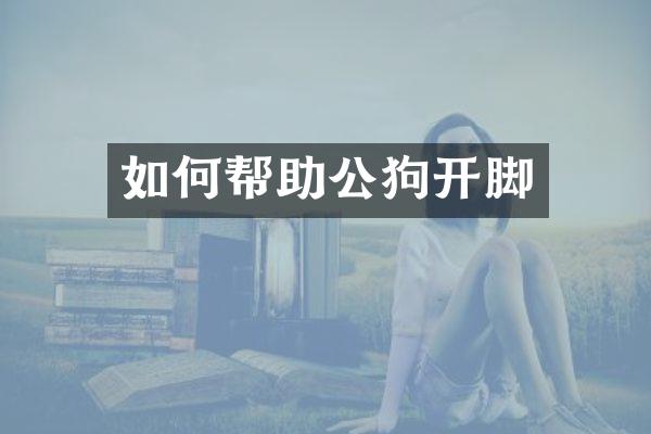 如何帮助公狗开脚