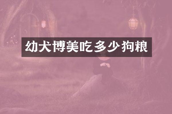 幼犬博美吃多少狗粮