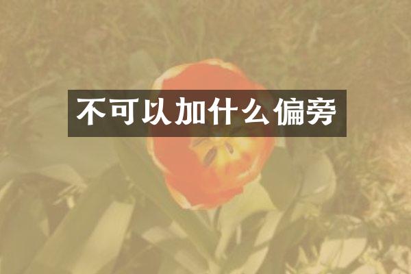 不可以加什么偏旁