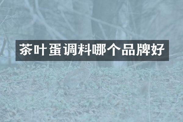 茶叶蛋调料哪个品牌好